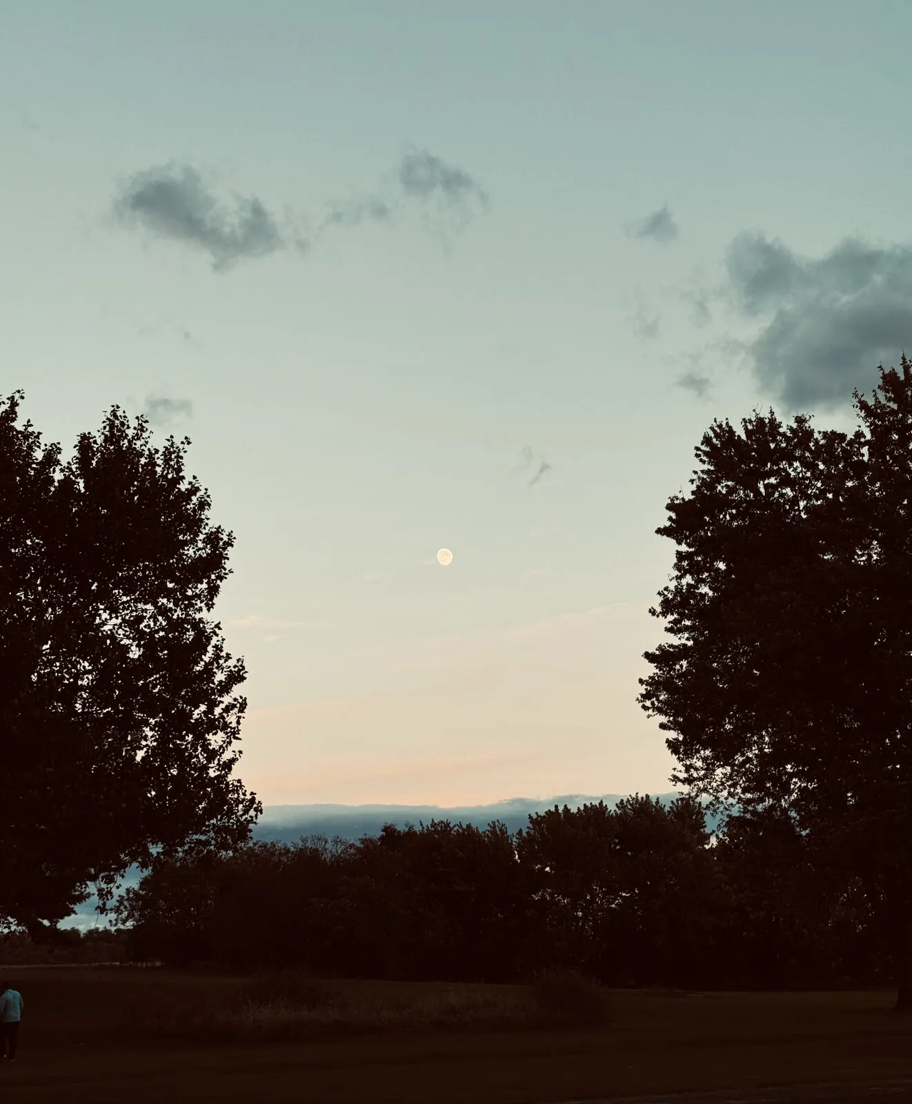 Nearly full moon in a pastel dusk sky, framed between two dark trees at the edge of an open field
