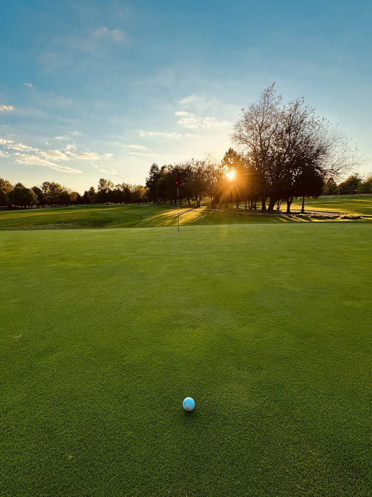 Golf ball resting on a smooth green as the setting sun flares through trees behind the flagstick in early autumn