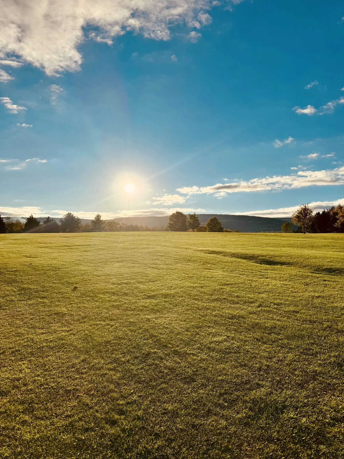 Morning sun over a broad mowed field, a wooded ridge on the horizon and autumn color in the treeline
