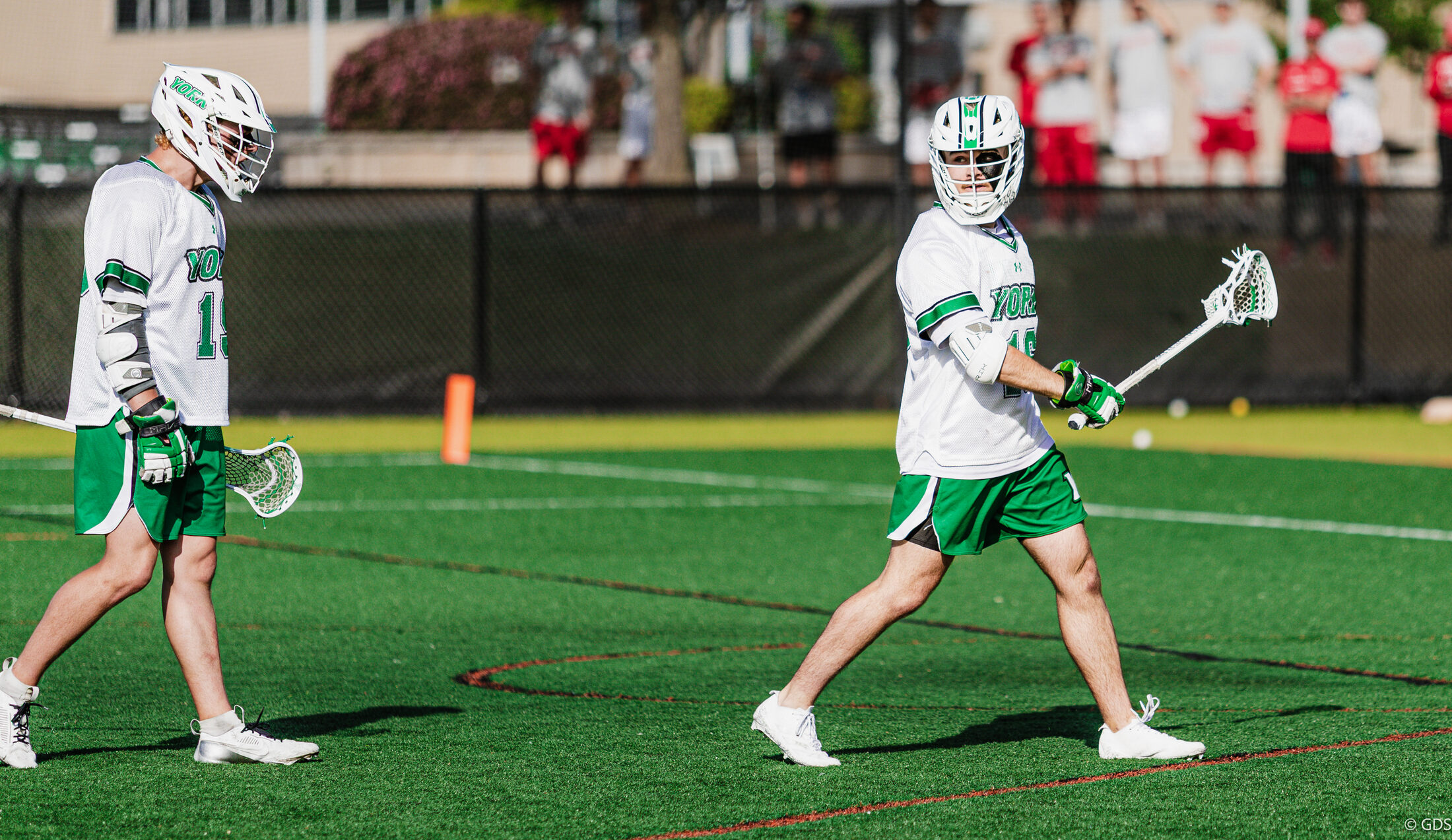 A York lacrosse player strides across the turf with his stick raised, a teammate walking beside him and the crowd along the fence
